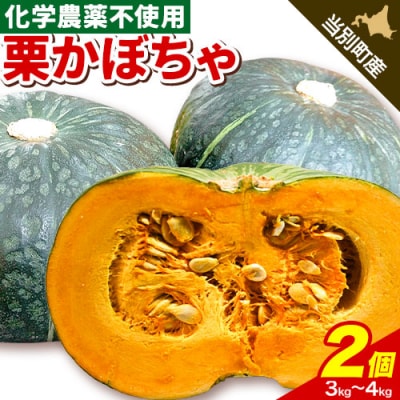 北海道当別町産かぼちゃ:2個セット