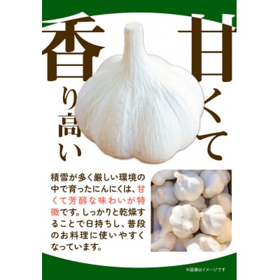【令和7年発送先行受付】にんにく(福地ホワイト六片種)500g