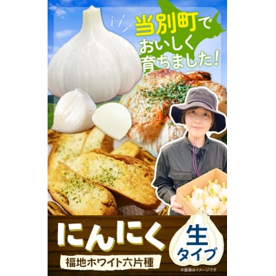 【令和7年発送先行受付】生にんにく(福地ホワイト六片種)500g