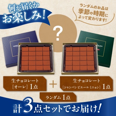 ROYCE'生チョコレート入りバラエティセット_tb01-006