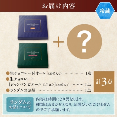 ROYCE'生チョコレート入りバラエティセット_tb01-006