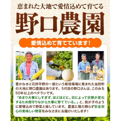 【令和6年産新米先行受付】野口農園玄米お米セット10kg「ななつぼし・おぼろづき」