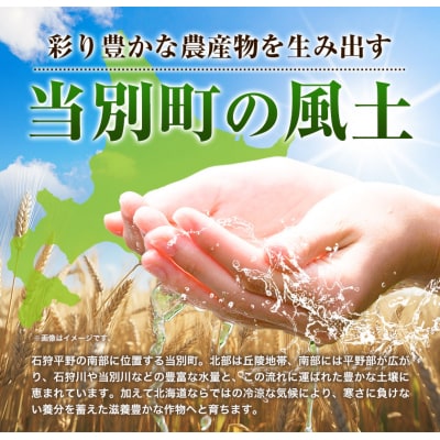 当別町産かぼちゃを使った冷凍ケーキ「ほうじ茶×かぼちゃロールケーキ」2個セット