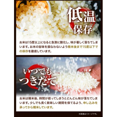 【令和6年産新米先行受付】特Aランクななつぼし　単一農家の美味しいお米10kg【3か月定期便】
