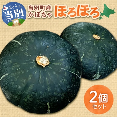 北海道当別町産化学農薬不使用かぼちゃ ほろほろ 2個セット_tb36-012