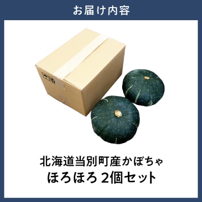 北海道当別町産化学農薬不使用かぼちゃ ほろほろ 2個セット_tb36-012
