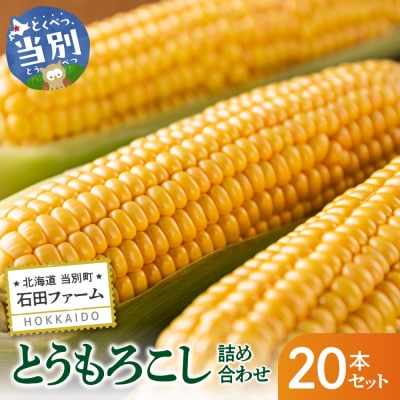 【令和8年発送先行受付】石田ファーム　とうもろこし詰め合わせ20本セット_tb19-004