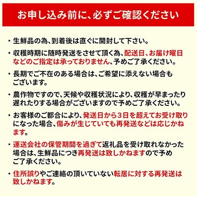 【令和7年発送先行受付】石田ファーム　とうもろこし詰め合わせ20本セット