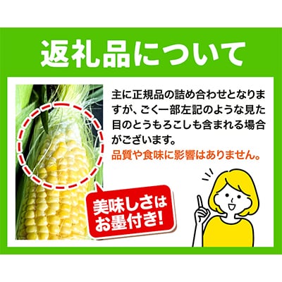 【令和7年発送先行受付】石田ファーム　とうもろこし詰め合わせ20本セット