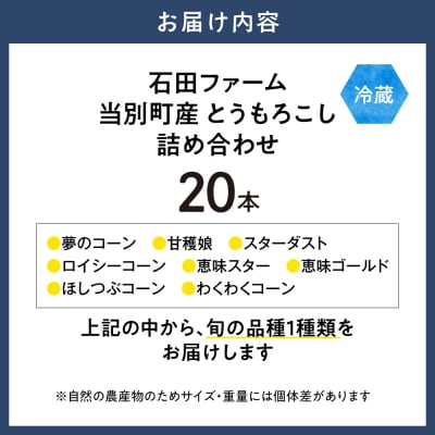 【令和8年発送先行受付】石田ファーム　とうもろこし詰め合わせ20本セット_tb19-004