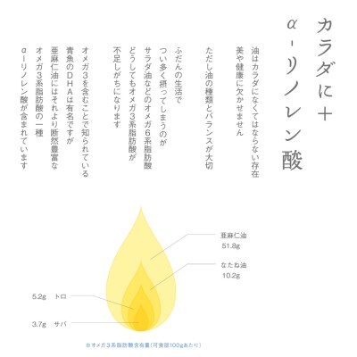 亜麻仁油95g【6本セット】_tb04-014