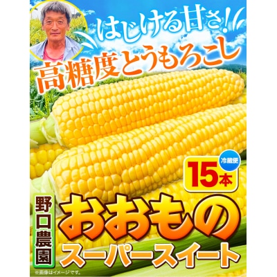【令和6年発送先行受付】野口農園高糖度とうもろこし「おおもの」15本