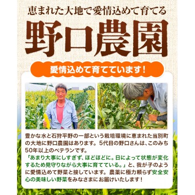 【令和6年発送先行受付】野口農園高糖度とうもろこし「おおもの」15本