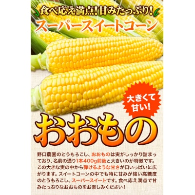 【令和6年発送先行受付】野口農園高糖度とうもろこし「おおもの」15本