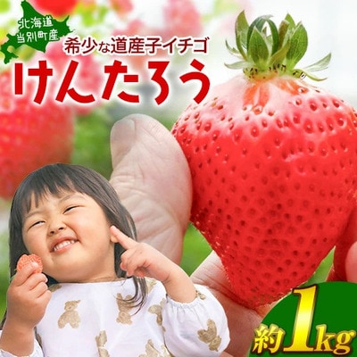 【2026年先行受付】当別町産べんけべつのいちご(けんたろう)