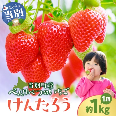 【2026年先行受付】当別町産べんけべつのいちご(けんたろう)_tb38-001