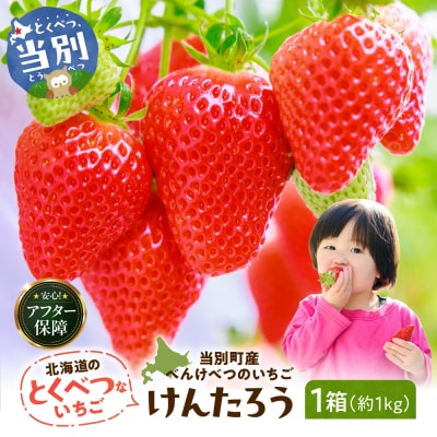 【2027年度産先行予約】当別町産べんけべつのいちご(けんたろう)4パック_tb38-001