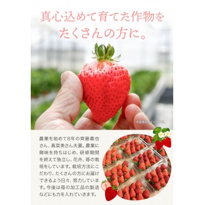 【2026年先行受付】当別町産べんけべつのいちご(けんたろう)