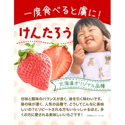 【2026年先行受付】当別町産べんけべつのいちご(けんたろう)