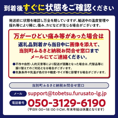 【2026年先行受付】当別町産べんけべつのいちご(けんたろう)_tb38-001