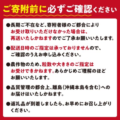 【2027年度産先行予約】当別町産べんけべつのいちご(けんたろう)4パック_tb38-001