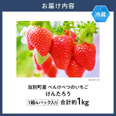 【2026年先行受付】当別町産べんけべつのいちご(けんたろう)_tb38-001