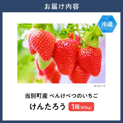 【2027年度産先行予約】当別町産べんけべつのいちご(けんたろう)4パック_tb38-001