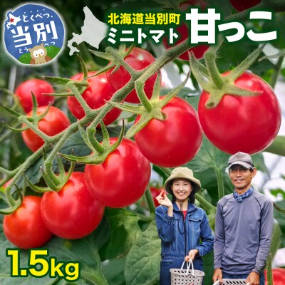 北海道当別町産ミニトマト:甘っこ1.5kg_tb36-002