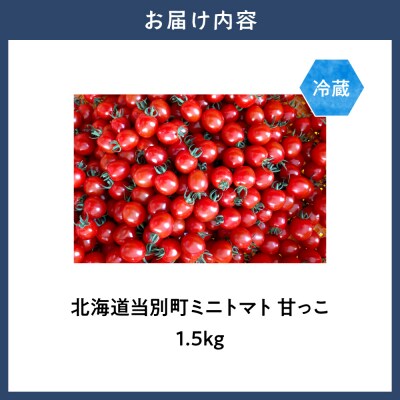 北海道当別町産ミニトマト:甘っこ1.5kg_tb36-002