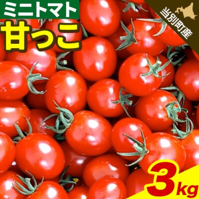 北海道当別町産ミニトマト:甘っこ3kg