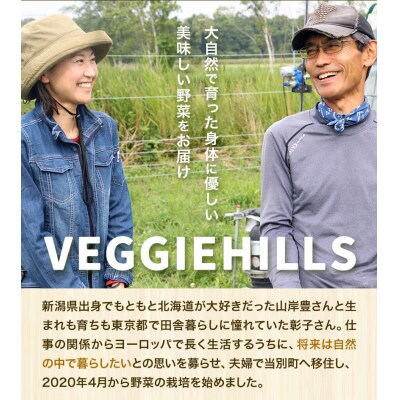 北海道当別町産ミニトマト:甘っこ3kg