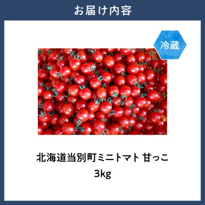 北海道当別町産ミニトマト:甘っこ3kg_tb36-001