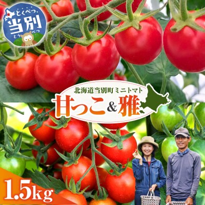 北海道当別町産ミニトマト:甘っ子・雅1.5kg_tb36-004