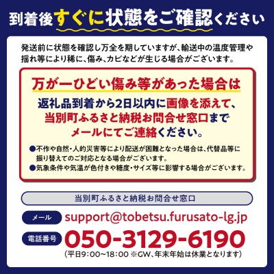 北海道当別町産ミニトマト:甘っ子・雅1.5kg_tb36-004