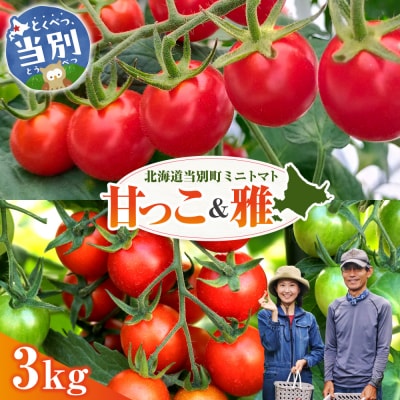 北海道当別町産ミニトマト:甘っ子・雅3kg_tb36-005