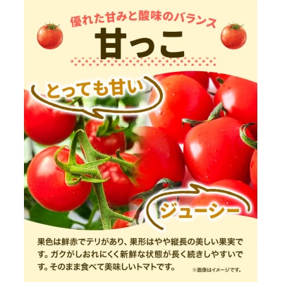北海道当別町産ミニトマト:甘っ子・雅3kg