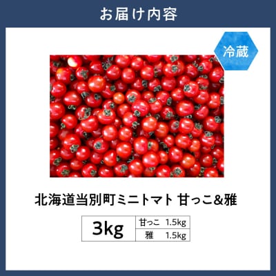 北海道当別町産ミニトマト:甘っ子・雅3kg_tb36-005