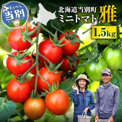 北海道当別町産ミニトマト:雅1.5kg_tb36-003