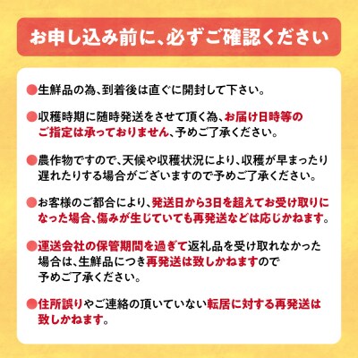 北海道当別町産ミニトマト:雅1.5kg_tb36-003
