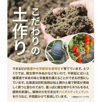 北海道当別町産ミニトマト:雅1.5kg