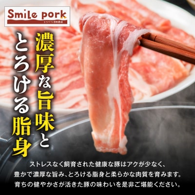 浅野農場厳選しゃぶしゃぶセット【6ヶ月定期便】_tb02-006