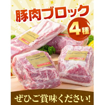 浅野農場厳選豚肉ブロック食べ比べセット【3ヶ月定期便】