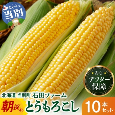 【令和8年発送先行受付】石田ファーム　とうもろこし詰め合わせ10本セット_tb19-003
