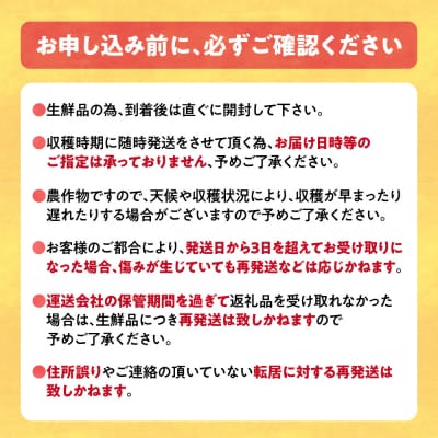 【令和8年発送先行受付】石田ファーム　とうもろこし詰め合わせ10本セット_tb19-003