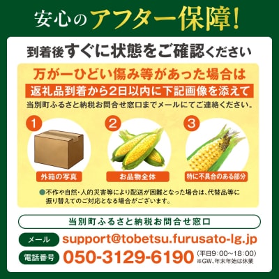 【令和8年発送先行受付】石田ファーム　とうもろこし詰め合わせ10本セット_tb19-003