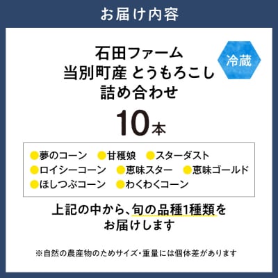 【令和8年発送先行受付】石田ファーム　とうもろこし詰め合わせ10本セット_tb19-003