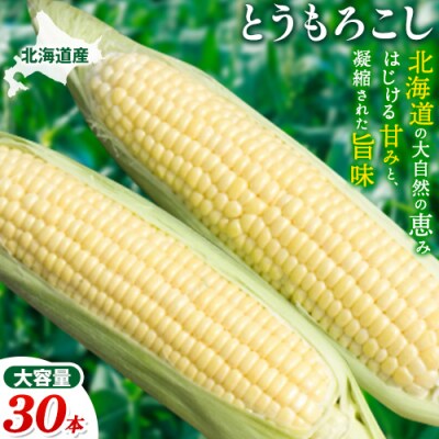 【2025年先行受付】照之家商店鮮度抜群とうもろこし30本