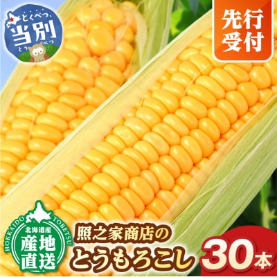 【2026年先行受付】照之家商店鮮度抜群とうもろこし30本_tb21-007