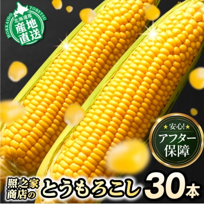【2026年先行受付】照之家商店 鮮度抜群とうもろこし30本_tb21-007
