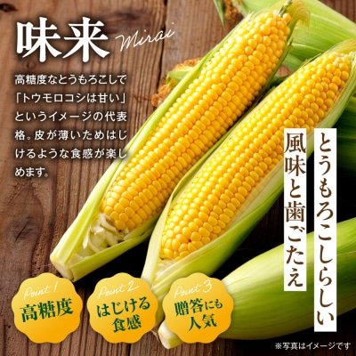 【2026年先行受付】照之家商店 鮮度抜群とうもろこし30本_tb21-007